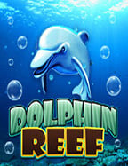 รีวิว สล็อต xo เล่นยังไงให้ได้กำไรทุกวัน